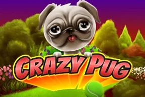 Crazy Pug